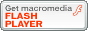 Flash Player Download