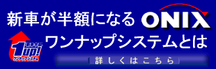 ワンナップシステム?